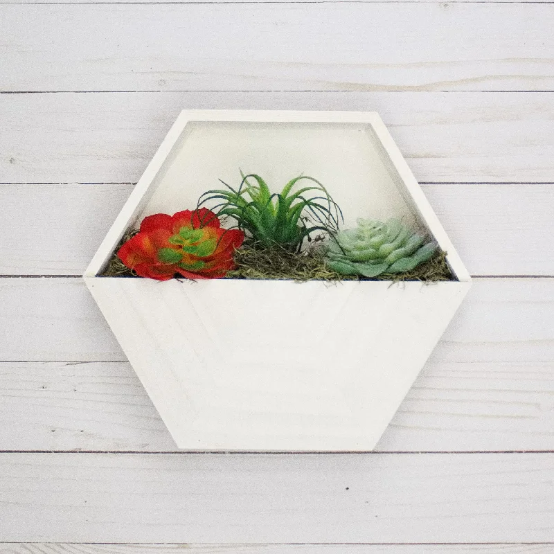 DIY Hexagon Succulent Planter Kit