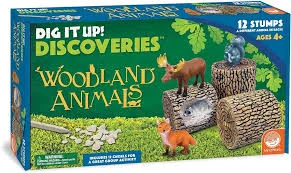 Woodland Animals Discoveries